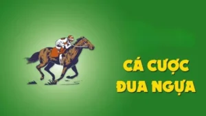 Hướng Dẫn Cách Tham Gia Cá Cược Đua Ngựa ManClub Để Nhận Thưởng Lớn Mỗi Ngày