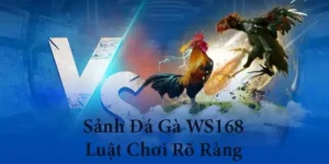 Hướng Dẫn Cách Tham Gia Cá Cược Đá Gà WS168 Tại ManClub Hiệu Quả Nhất