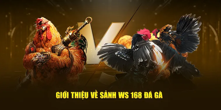 Hướng Dẫn Cách Tham Gia Cá Cược Đá Gà WS168 Tại ManClub Hiệu Quả Nhất