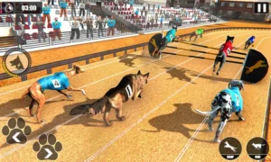 Những Kinh Nghiệm Cá Cược Game Nhanh Đua Chó Tại ManClub Luôn Giành Chiến Thắng