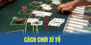Bí Kíp Chơi Xì Tố Tại ManClub Để Trở Thành Cao Thủ Sát Phạt Mọi Bàn